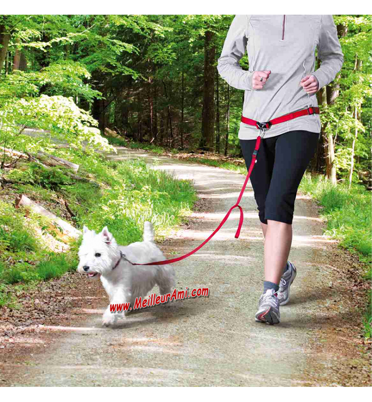 Kit Ceinture + Laisse de Jogging avec chien