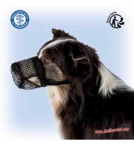 Protection anti-intoxication pour chien