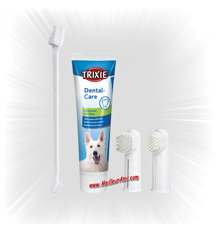 Set d'hygiène dentaire pour chien