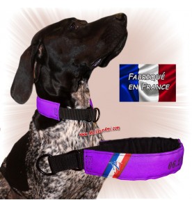 Collier chien personnalisable sur mesure violet