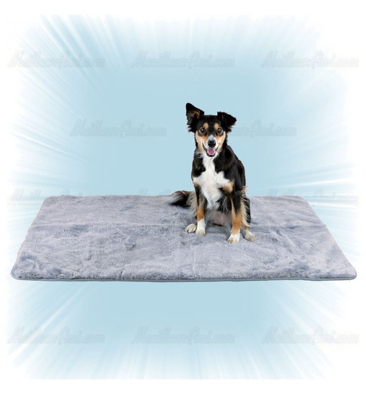 Couverture pour chien Couverture pour chien