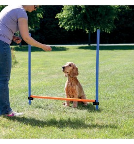 Obstacle pour chien agility
